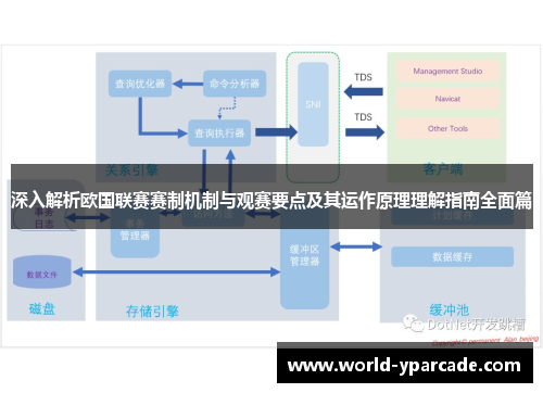 深入解析欧国联赛赛制机制与观赛要点及其运作原理理解指南全面篇