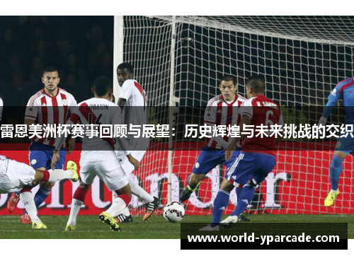 雷恩美洲杯赛事回顾与展望：历史辉煌与未来挑战的交织
