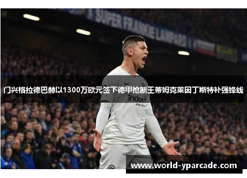 门兴格拉德巴赫以1300万欧元签下德甲抢断王蒂姆克莱因丁斯特补强锋线