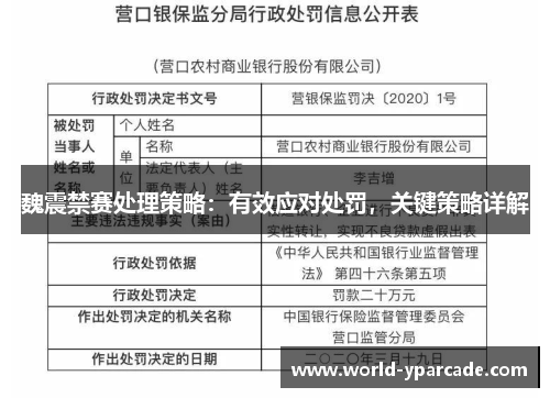 魏震禁赛处理策略：有效应对处罚，关键策略详解